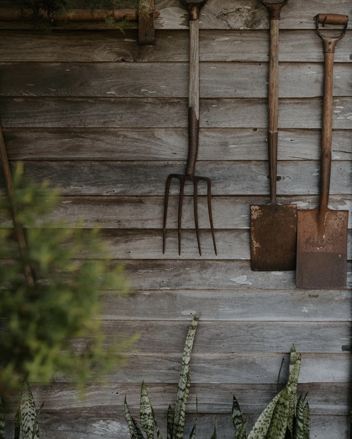 Hand tools resting on reclaimed timber at The Perch
